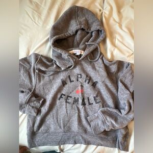 Gray Cropped Hoodie - Alpha Female Cherries